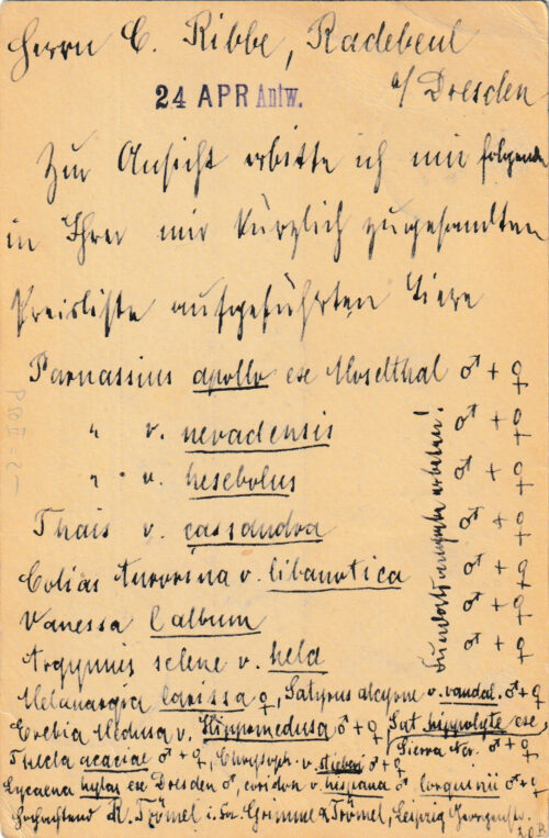 Karte von Richard Trömel an C. Ribbe in Radebeul, 08.04.1901